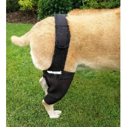 FirstCanine Orthopaedic Dog Hind Knee Brace